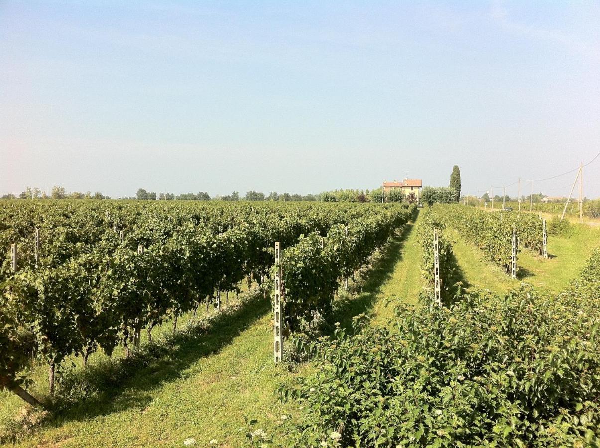 Cascina Tabachera X10 Country House Sirmione Garda Lake Pozzolengo Room photo
